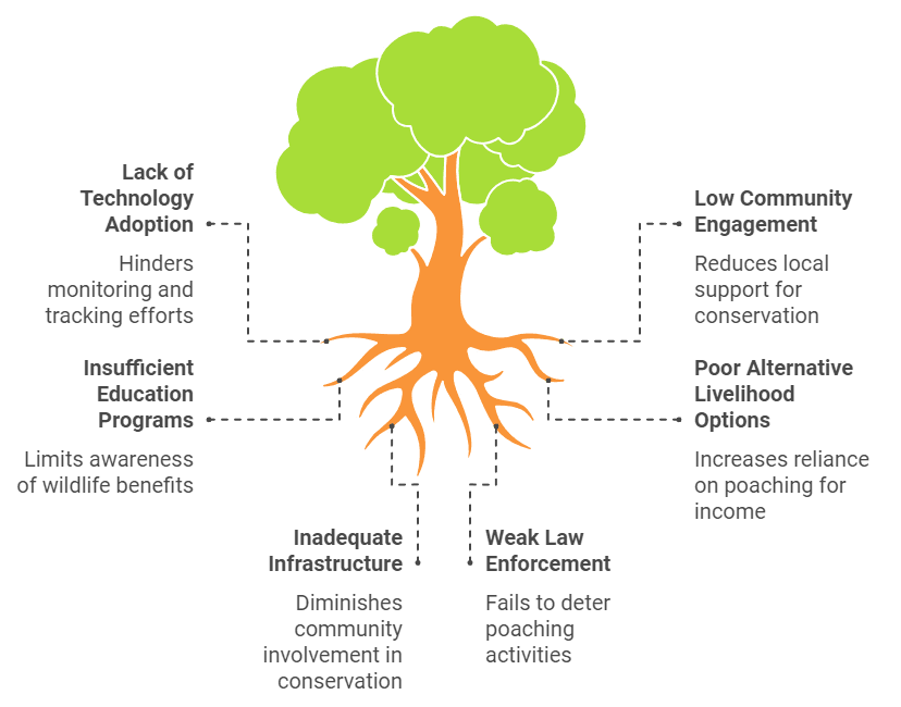 Innovations in Anti-Poaching Efforts
