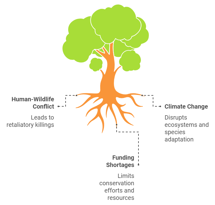 Challenges of Conservation