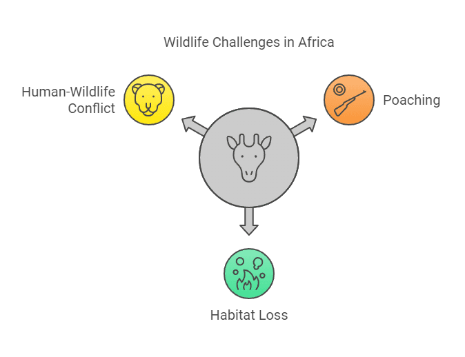 Challenges Facing Africa’s Wildlife