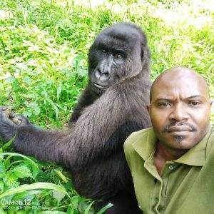 Virunga National Park ranger patrolling dense forest, ensuring the safety of endangered species
