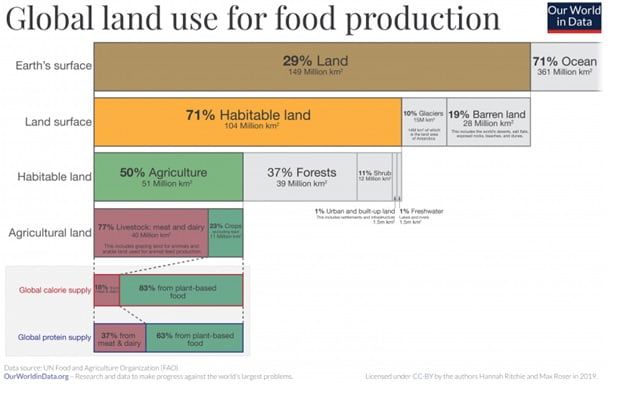 Global land use for food production