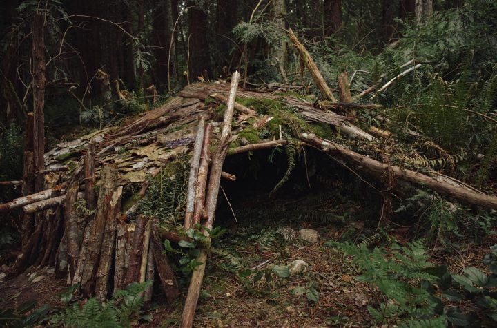 building a shelter for survival: A well-constructed lean-to shelter in a forest setting, showcasing effective survival techniques.