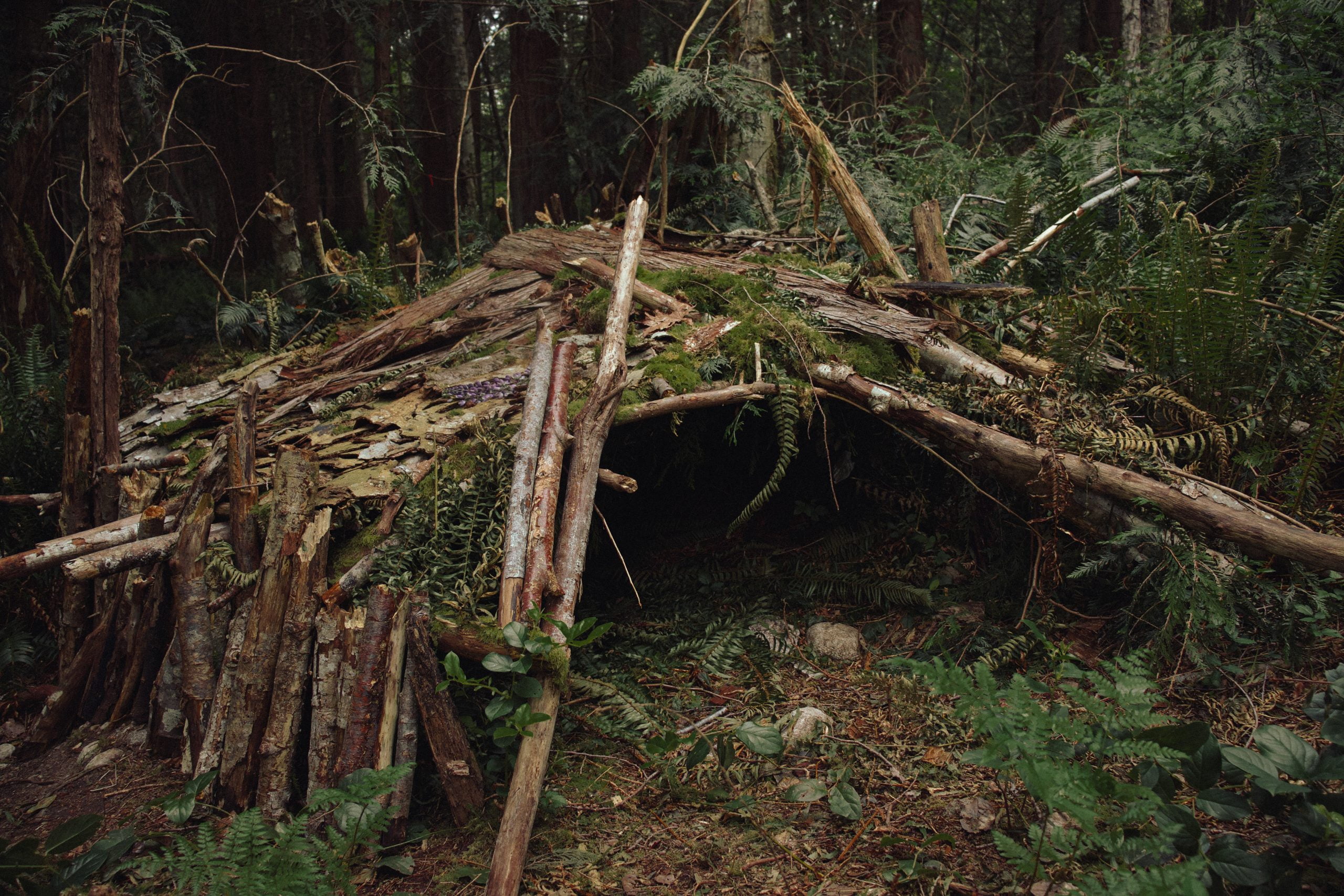 10 Tips for Building Shelter in a Survival Situation