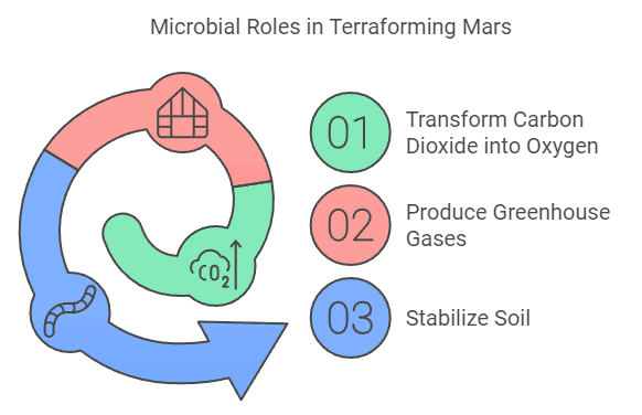 terraforming microbes in Mars