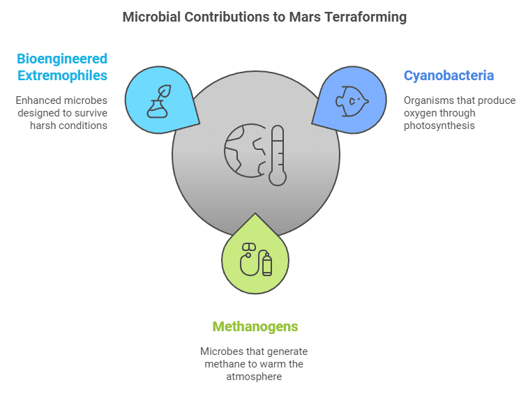 microbial contributions to mars terraforming