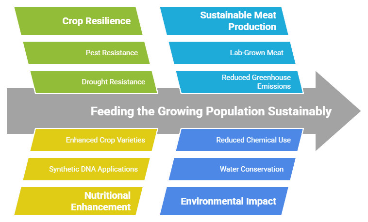 Synthetic Biology in Agriculture