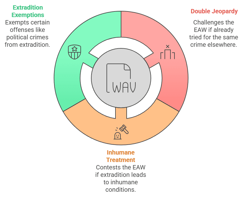 Challenges and Defenses Against a European Arrest Warrant