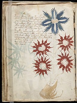 A page from the Voynich Manuscript, showcasing the unusual illustrations and indecipherable text.