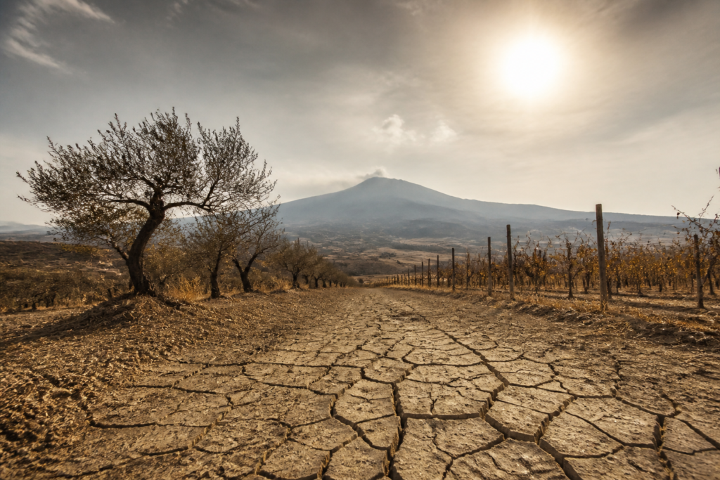Sicily Desertification Crisis: Why This Island Faces a Dry Doom